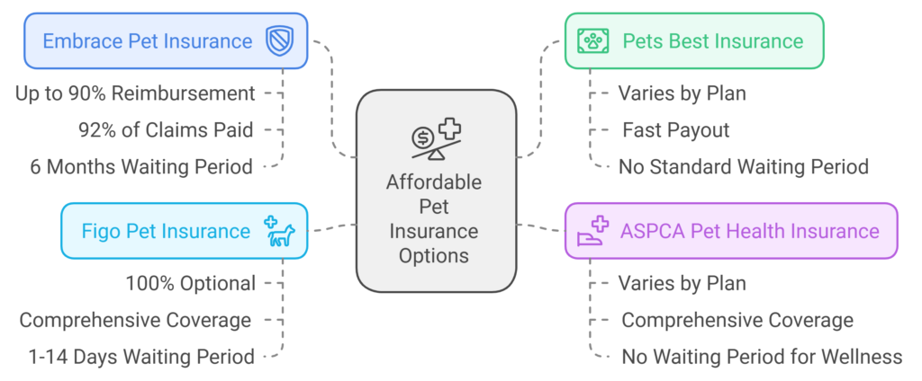 Factors to Consider When Comparing Plans