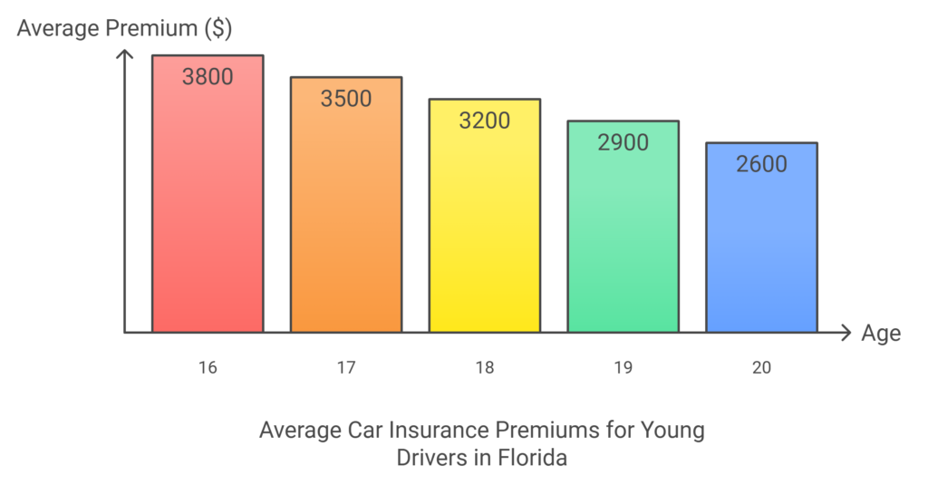 Comparative Analysis of Rates for Young Drivers