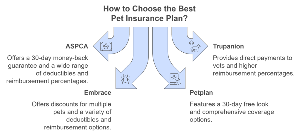 Top Providers for Dogs with Long-term Health Issues