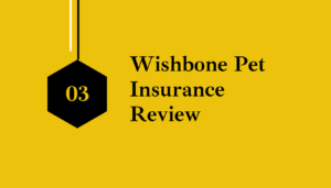 Wishbone Pet Insurance Review