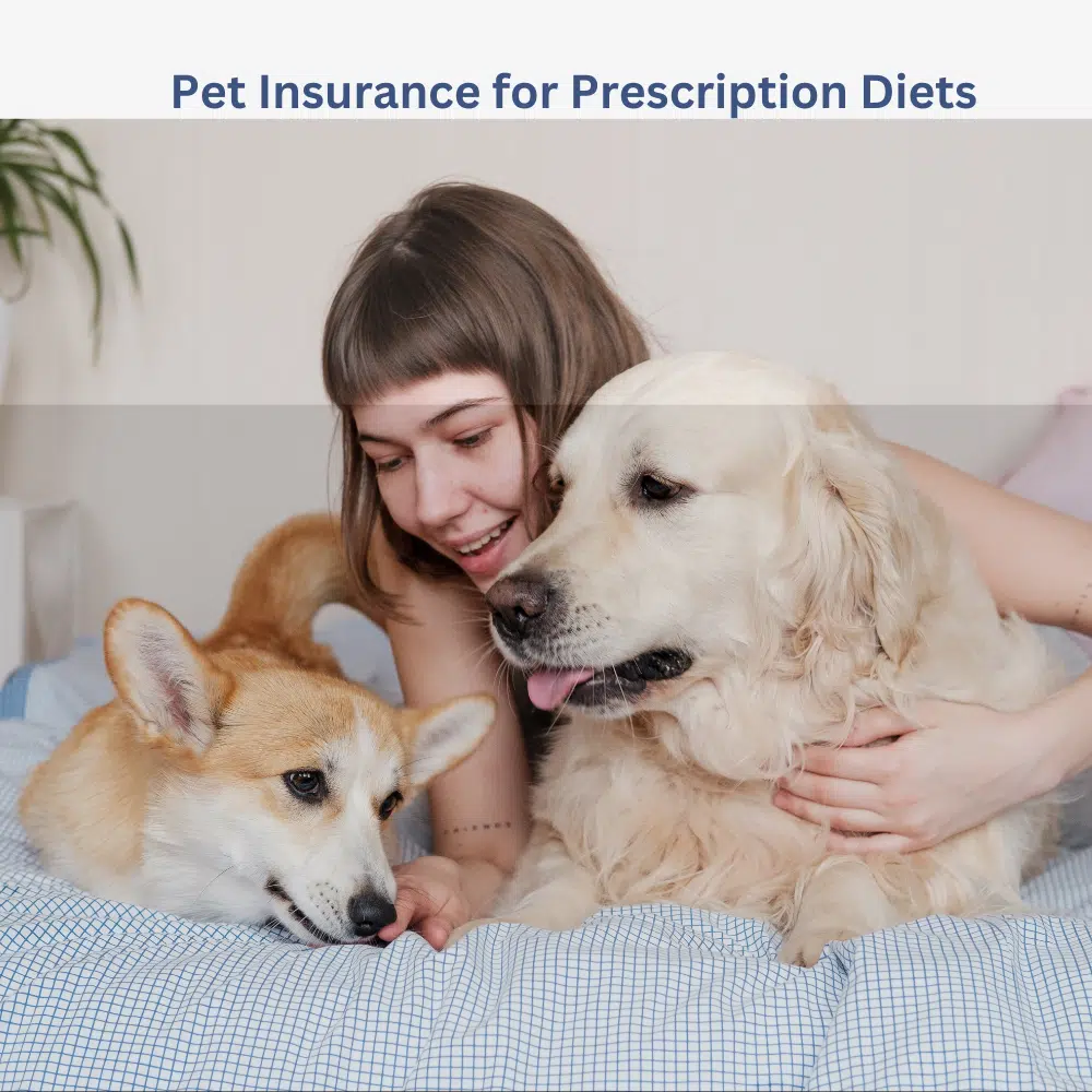 Pet Insurance for Prescription Diets