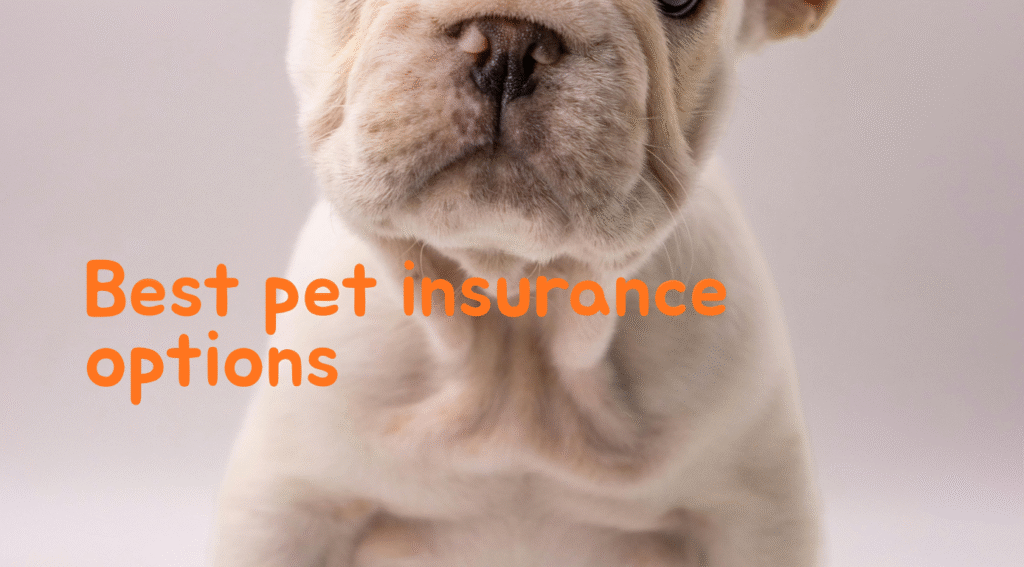 Best Pet Insurance for Cats with Kidney Disease Review 1