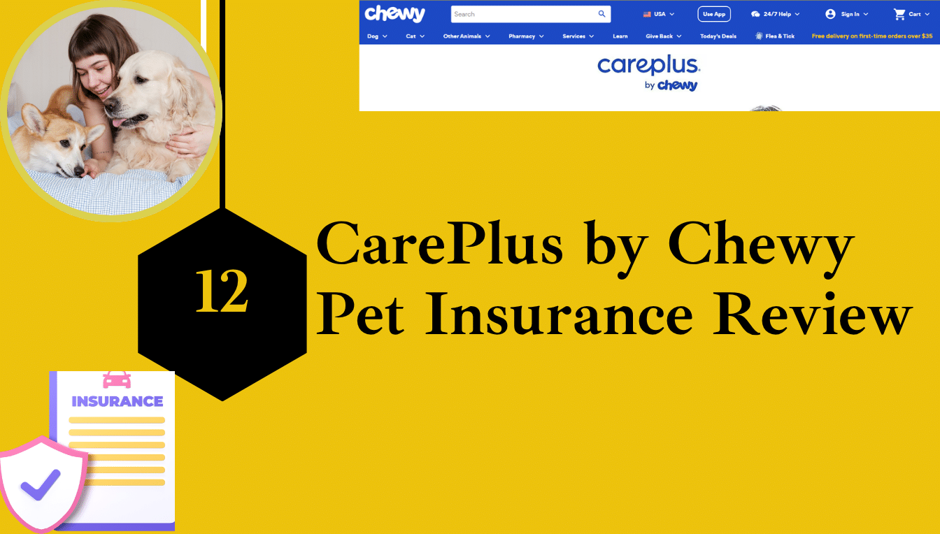 CarePlus by Chewy Pet Insurance Review